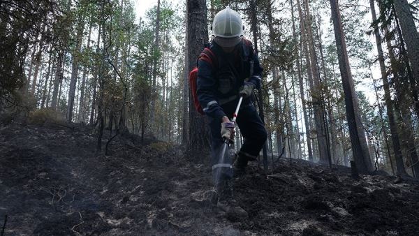 Особый противопожарный режим ввели в четырех районах Красноярского края<br />
